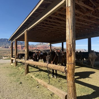 Cowboy Trail Rides - Horseback Riding Near Me - Las Vegas, Nevada