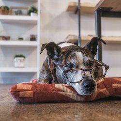 Huxley Optical