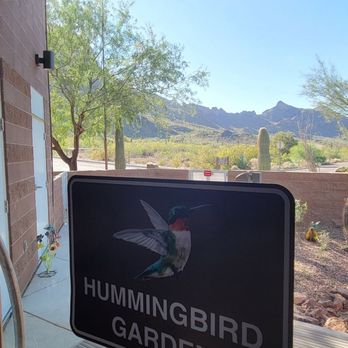 Picacho Peak State Park - Parks Near Me