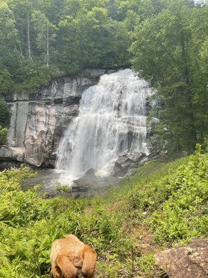 Gorges State Park by null