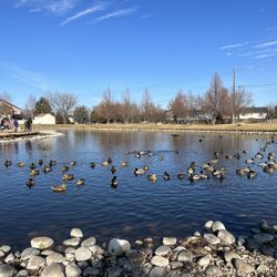 Settlers Park - Beautiful day at the park