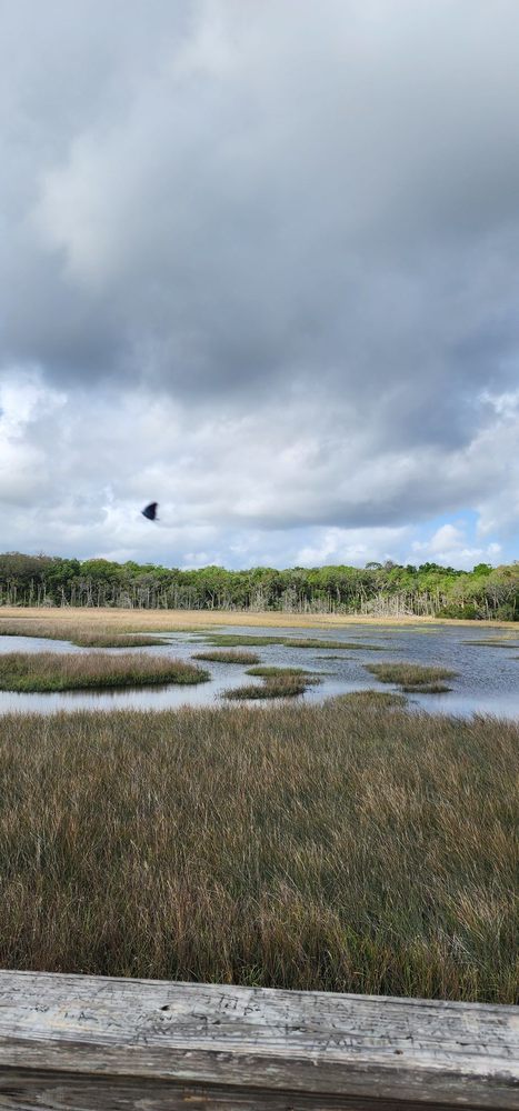 Spanish Pond Image
