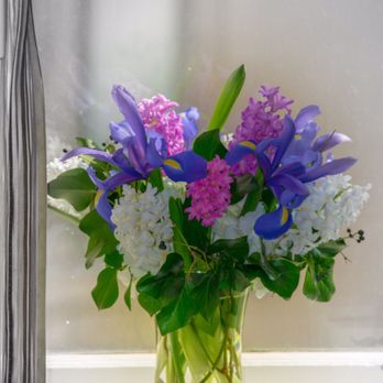 Fleur de Lis Florist - Florists Near Me - Baltimore, Maryland Fleur de Lis Florist - Florists Near Me - Baltimore, Maryland