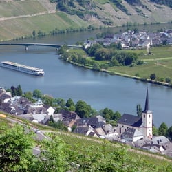 Restaurant Moselpanorama - Blick vom Hotel/Restaurant "Moselpanorama"