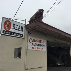 Campbell Automotive