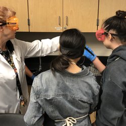Cobalt Institute of Math and Science - Students in the Biomedical Pathway participate in a Human Body Systems class.