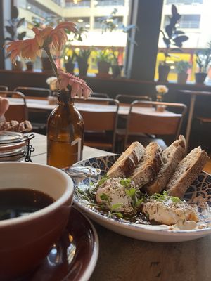 Federal Cafe Bar by null