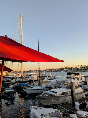 Rusty Pelican by null