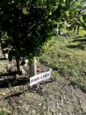 Hurds Family Farm by null