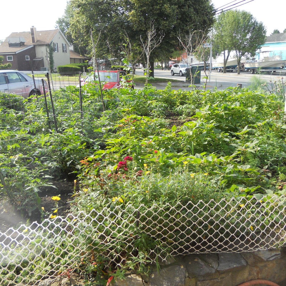 Timmy's Restaurant - Garden at Timmy's - Breakfast & Brunch Near Me - Warwick, Rhode Island Timmy's Restaurant - Garden at Timmy's - Breakfast & Brunch Near Me - Warwick, Rhode Island