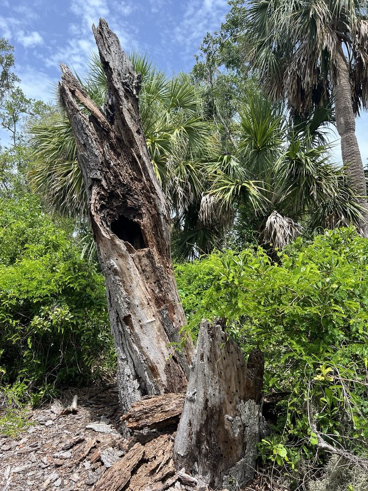 Nokomis Riverview Park Image