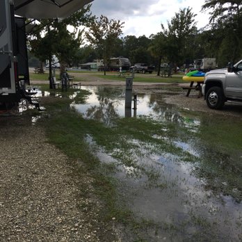 Flamingo Lake RV Community - RV Parks Near Me - Jacksonville, Florida Flamingo Lake RV Community - RV Parks Near Me - Jacksonville, Florida