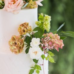 SeriousCake.com
