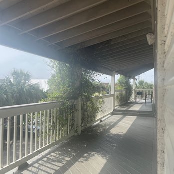 Owl Cafe - Bars Near Me - Apalachicola, Florida