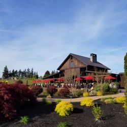 Tumwater Vineyard
