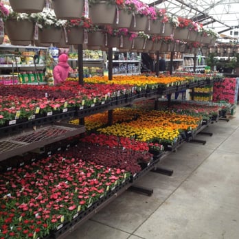 Lowe's - Flowers! I come here for all my vegetable and flower needs. - Hardware Stores Near Me - Memphis, Tennessee