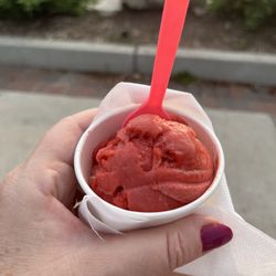 Rocky's - Cherry lime sorbet