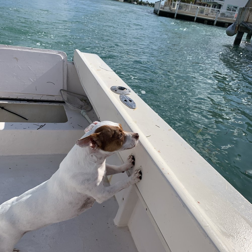 Callion Fishing Charters - Fishing Near Me - Marathon, Florida