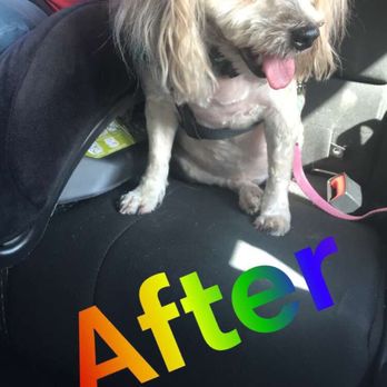 Elverta Sudzy Paws - Pet Groomers Near Me - Elverta, California