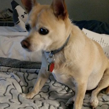 My Place Hotel-Carson City, NV - dog friendly - Hotels Near Me - Carson City, Nevada