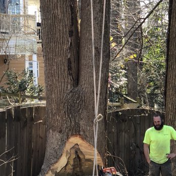Out On A Limb Tree Service - Tree Services Near Me - Loganville, Georgia Out On A Limb Tree Service - Tree Services Near Me - Loganville, Georgia