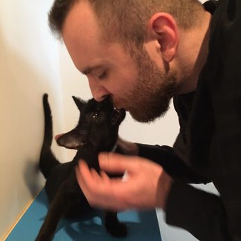 Cat Town - Biting!!! - Animal Shelters Near Me - Oakland, California