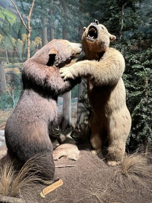 Bass Pro Shops (Formerly Cabela's) by null