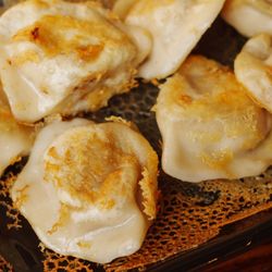 Steam Boys - Seared Dumplings!