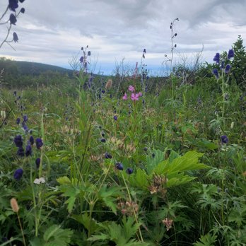 Prospect Heights Trailhead - Hiking Near Me - Anchorage, Alaska
