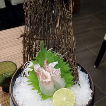 Hachi - Yellowtail sashimi - Sushi Bars Near Me - Chalfont, Pennsylvania