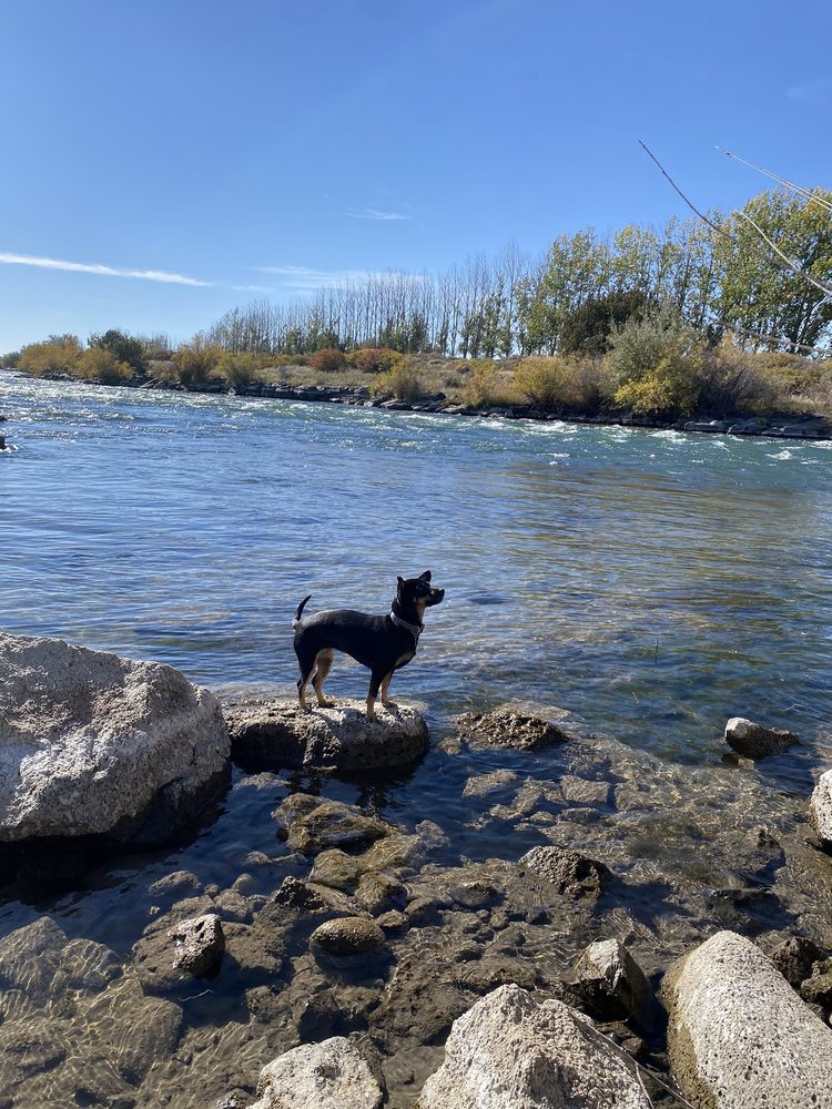 THE WATERFRONT AT SNAKE RIVER LANDING Updated September 2024 47