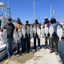 Diamond Sportfishing - Limits of halibut! Avid fisherman or never fished before? Come with us and learn the craft!