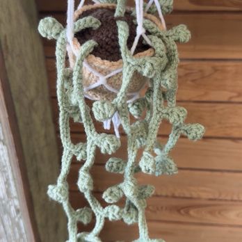Beans & Greens - Real plants and unique plants - Breakfast & Brunch Near Me - Crystal River, Florida