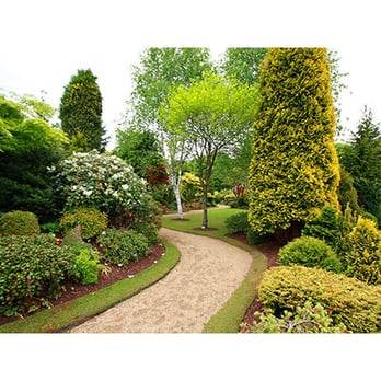 Creative Vision Tree & Landscape Services - a pathway in a garden - Tree Services Near Me - O'Brien, Florida