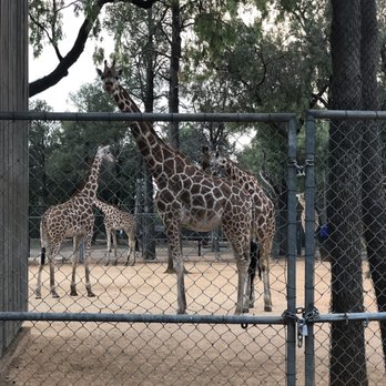 Taronga Western Plains Zoo - Zoos Near Me - Dubbo, NSW Taronga Western Plains Zoo - Zoos Near Me - Dubbo, NSW