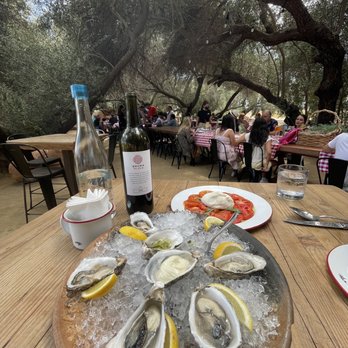 Bruma - Lunch at Bruma Wine Garden - Wineries Near Me - Ensenada, BCN