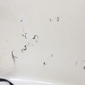 Petco - Holes in the tubs - Pet Training Near Me - Massapequa, New York