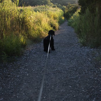 Branford Trolley Trail - Hiking Near Me - Branford, Connecticut