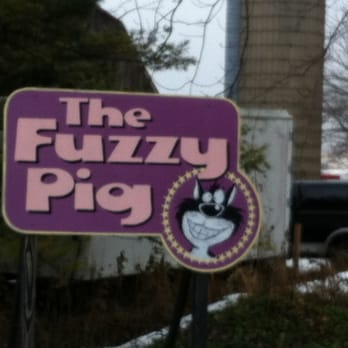 The Fuzzy Pig - Their sign outside.  Apparently THE FUZY CAT was a name of one of their beloved cats. - Antiques Near Me - Whitewater, Wisconsin