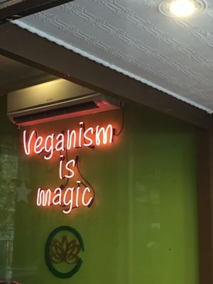 Golden Lotus Vegan Newtown by null