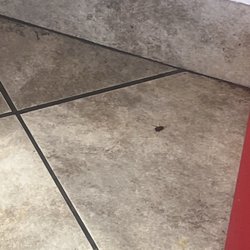 America's Best Wings - A dead roach
