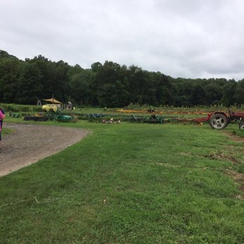 Mountain View Farm - CSA Near Me - Easthampton, Massachusetts