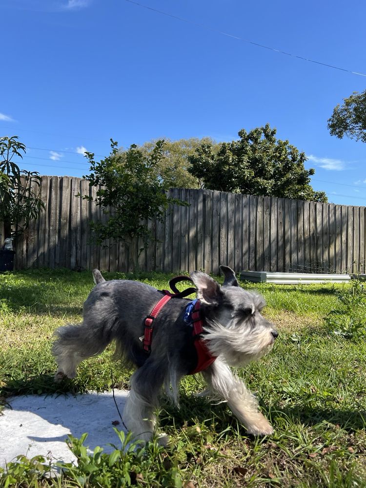 o Jupiter Florida Real Estate For Sale