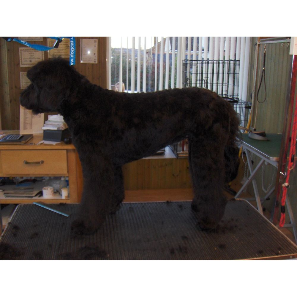 THE GROOM ROOM 37a Dunbottle Lane, Mirfield, West Yorkshire, United