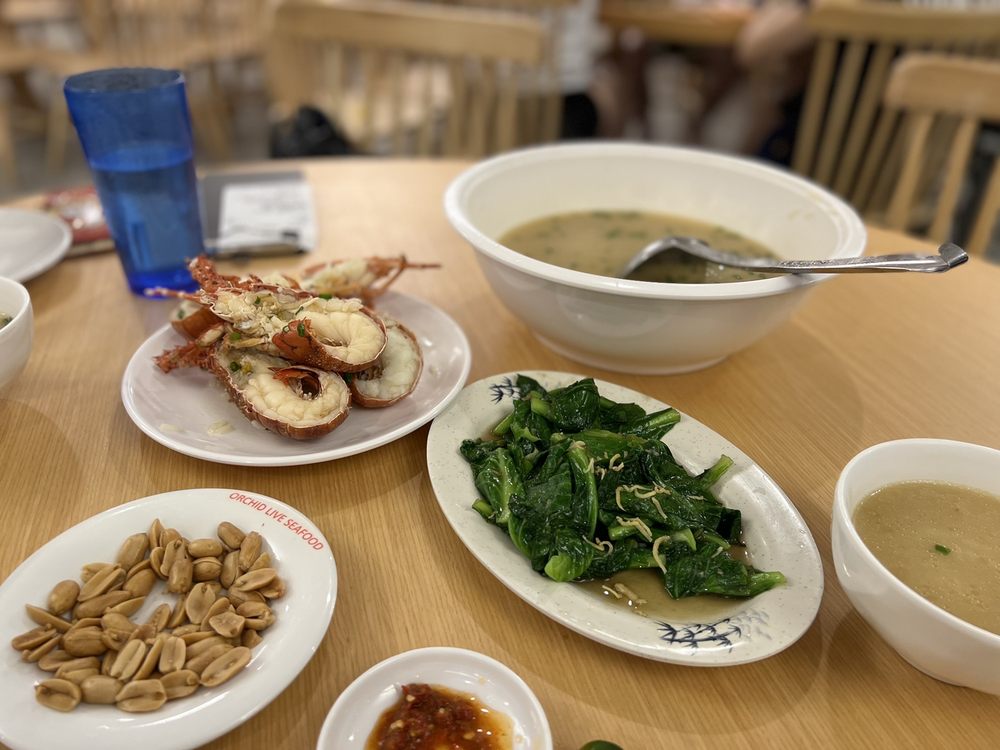 Orchid Live Seafood