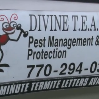 Divine Team - Pest Control Near Me Divine Team - Pest Control Near Me