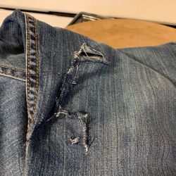 Pets of Maple Grove - The ripped jeans from the dog bite