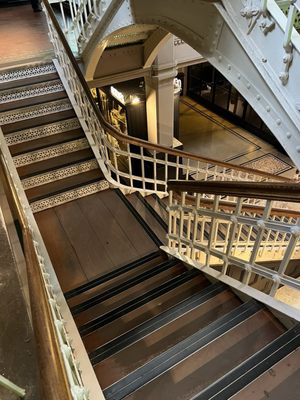 Manchester Museum by null