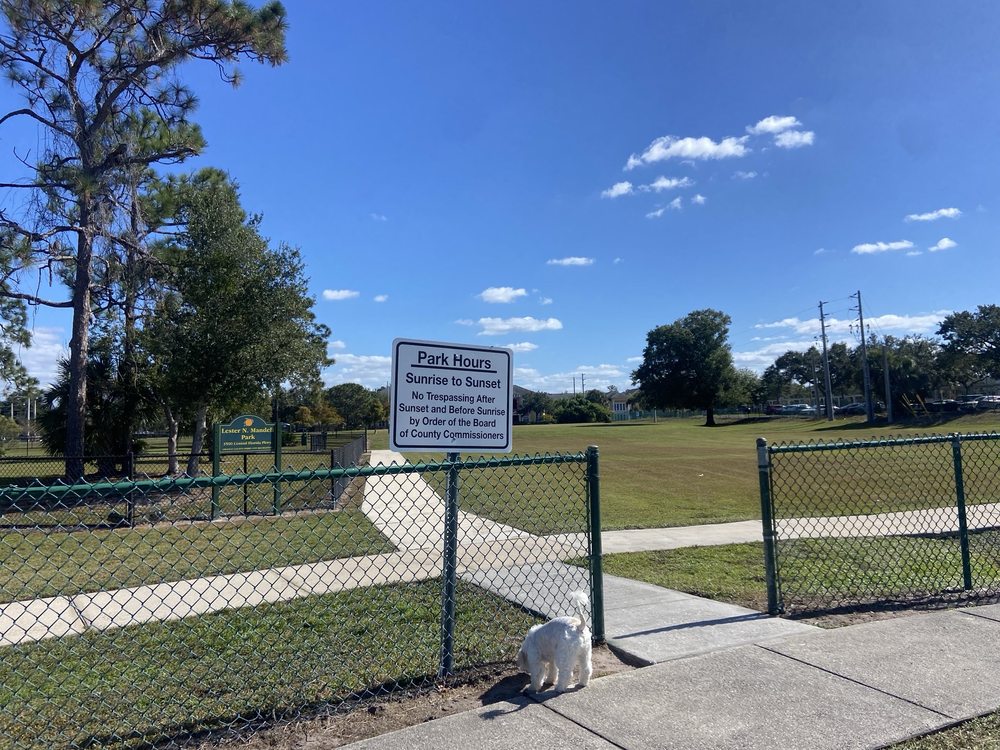 Lester Mandell Park Image