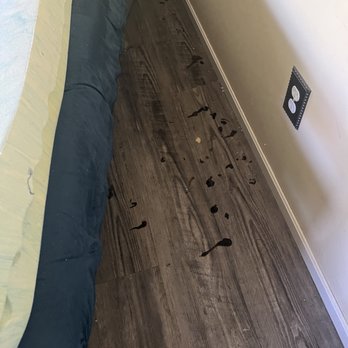 Capitol Corporate Housing - Feces and urine covered the floor in this room. - Real Estate Services Near Me